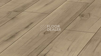 Ламинат Kronotex Exquisit 8мм d4697 Орех Валлис фото 1 | FLOORDEALER